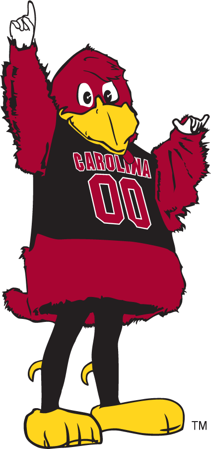 South Carolina Gamecocks 1998-2005 Mascot Logo t shirts iron on transfers